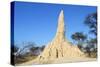 Termite Mound-null-Stretched Canvas