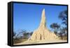 Termite Mound-null-Framed Stretched Canvas