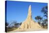 Termite Mound-null-Stretched Canvas