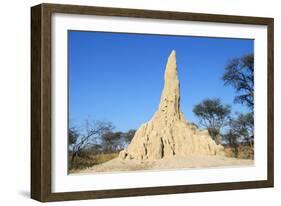 Termite Mound-null-Framed Photographic Print