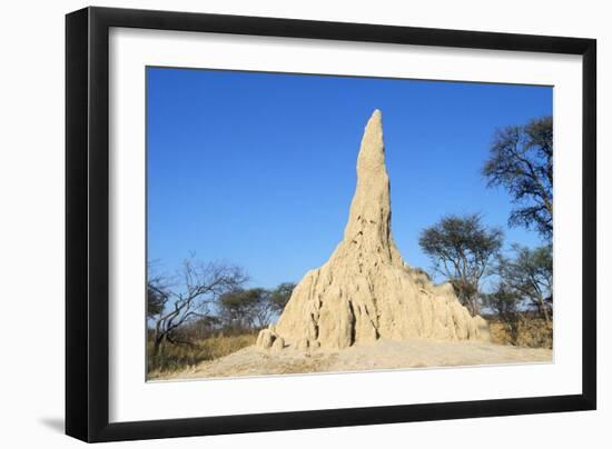 Termite Mound-null-Framed Photographic Print