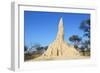 Termite Mound-null-Framed Photographic Print