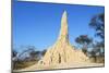 Termite Mound-null-Mounted Photographic Print