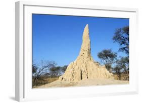 Termite Mound-null-Framed Photographic Print