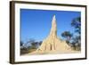 Termite Mound-null-Framed Photographic Print