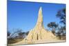 Termite Mound-null-Mounted Photographic Print