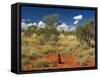 Termite Mounds in the Outback, Queensland, Australia, Pacific-Schlenker Jochen-Framed Stretched Canvas