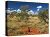 Termite Mounds in the Outback, Queensland, Australia, Pacific-Schlenker Jochen-Stretched Canvas