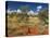 Termite Mounds in the Outback, Queensland, Australia, Pacific-Schlenker Jochen-Stretched Canvas