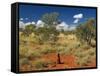 Termite Mounds in the Outback, Queensland, Australia, Pacific-Schlenker Jochen-Framed Stretched Canvas