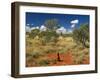 Termite Mounds in the Outback, Queensland, Australia, Pacific-Schlenker Jochen-Framed Photographic Print