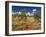 Termite Mounds in the Outback, Queensland, Australia, Pacific-Schlenker Jochen-Framed Photographic Print