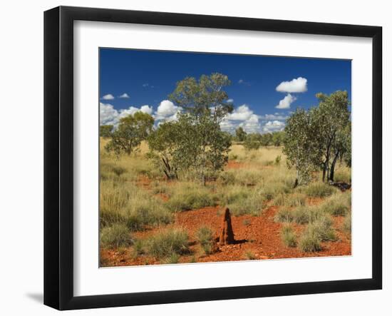 Termite Mounds in the Outback, Queensland, Australia, Pacific-Schlenker Jochen-Framed Photographic Print