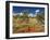 Termite Mounds in the Outback, Queensland, Australia, Pacific-Schlenker Jochen-Framed Photographic Print