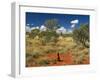 Termite Mounds in the Outback, Queensland, Australia, Pacific-Schlenker Jochen-Framed Photographic Print