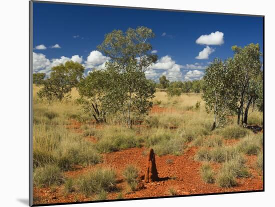 Termite Mounds in the Outback, Queensland, Australia, Pacific-Schlenker Jochen-Mounted Photographic Print