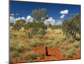 Termite Mounds in the Outback, Queensland, Australia, Pacific-Schlenker Jochen-Mounted Photographic Print