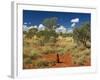 Termite Mounds in the Outback, Queensland, Australia, Pacific-Schlenker Jochen-Framed Photographic Print