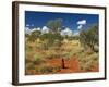 Termite Mounds in the Outback, Queensland, Australia, Pacific-Schlenker Jochen-Framed Photographic Print