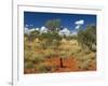 Termite Mounds in the Outback, Queensland, Australia, Pacific-Schlenker Jochen-Framed Photographic Print