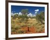 Termite Mounds in the Outback, Queensland, Australia, Pacific-Schlenker Jochen-Framed Photographic Print