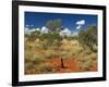 Termite Mounds in the Outback, Queensland, Australia, Pacific-Schlenker Jochen-Framed Photographic Print