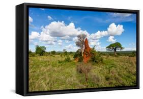 Termite Mount in Tarangire National Park, Tanzania Africa-BlueOrange Studio-Framed Stretched Canvas