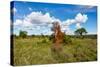 Termite Mount in Tarangire National Park, Tanzania Africa-BlueOrange Studio-Stretched Canvas