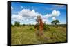 Termite Mount in Tarangire National Park, Tanzania Africa-BlueOrange Studio-Framed Stretched Canvas