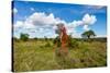 Termite Mount in Tarangire National Park, Tanzania Africa-BlueOrange Studio-Stretched Canvas