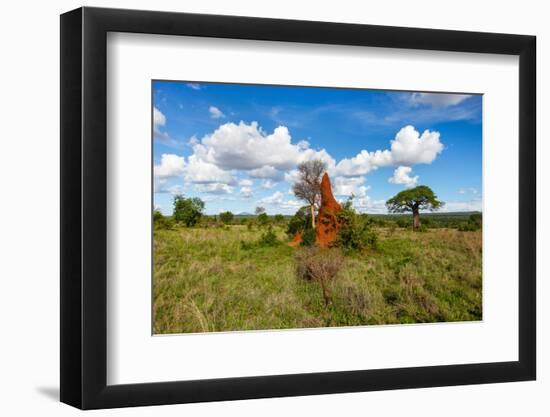 Termite Mount in Tarangire National Park, Tanzania Africa-BlueOrange Studio-Framed Photographic Print