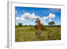 Termite Mount in Tarangire National Park, Tanzania Africa-BlueOrange Studio-Framed Photographic Print