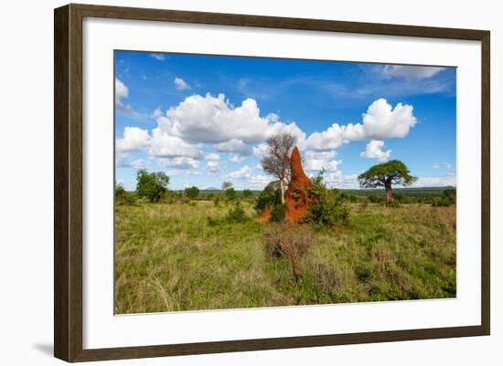 Termite Mount in Tarangire National Park, Tanzania Africa-BlueOrange Studio-Framed Photographic Print