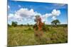 Termite Mount in Tarangire National Park, Tanzania Africa-BlueOrange Studio-Mounted Photographic Print