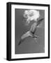 Tern Flying Through the Sky Above the Great Barrier Reef-Fritz Goro-Framed Photographic Print