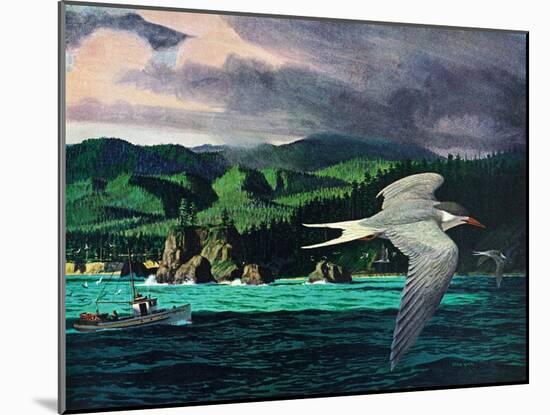 Terns In Flight-Stan Galli-Mounted Giclee Print