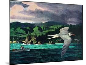 Terns In Flight-Stan Galli-Mounted Giclee Print