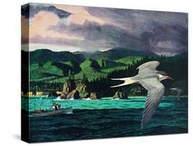 Terns In Flight-Stan Galli-Stretched Canvas