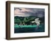 Terns In Flight-Stan Galli-Framed Giclee Print