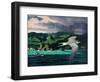 Terns In Flight-Stan Galli-Framed Giclee Print