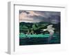 Terns In Flight-Stan Galli-Framed Giclee Print