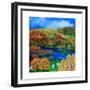 Terns over Rydal Water, 2009-Lisa Graa Jensen-Framed Giclee Print