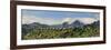 Terra Baptista and the High Peaks of Madeira Island, Portugal-Mauricio Abreu-Framed Photographic Print