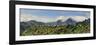 Terra Baptista and the High Peaks of Madeira Island, Portugal-Mauricio Abreu-Framed Photographic Print