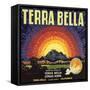 Terra Bella Brand - Terra Bella, California - Citrus Crate Label-Lantern Press-Framed Stretched Canvas