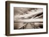 Terra Ceia Dawn-Danita Delimont-Framed Photo