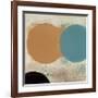 Terra Circles I-David Skinner-Framed Art Print