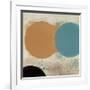 Terra Circles I-David Skinner-Framed Art Print