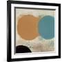 Terra Circles I-David Skinner-Framed Art Print