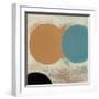 Terra Circles I-David Skinner-Framed Giclee Print